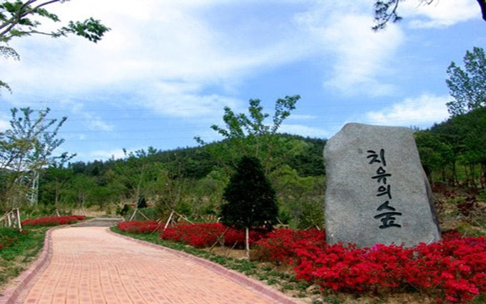 화순전남대학교병원
