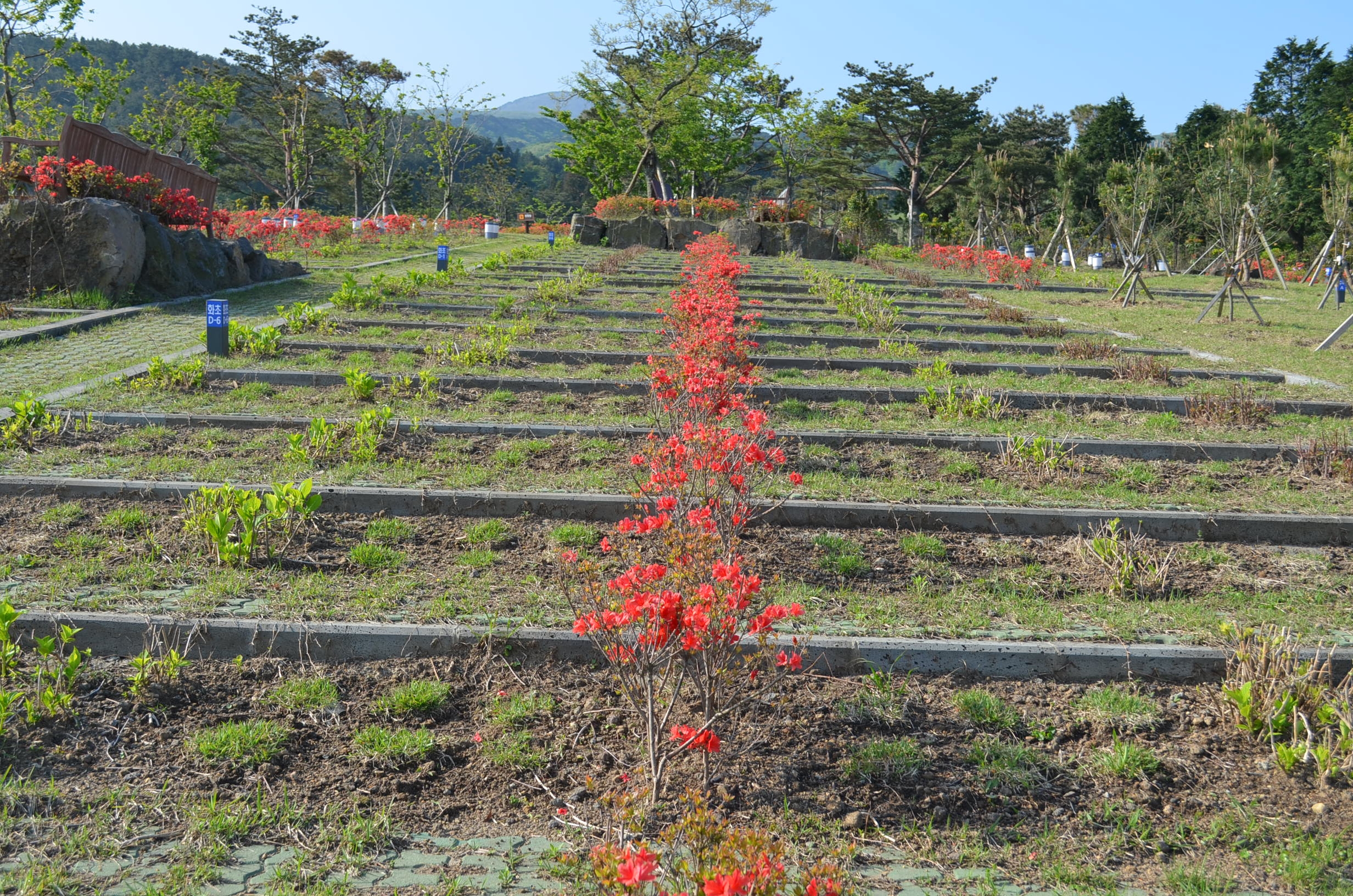 제주시어승생한울누리공원