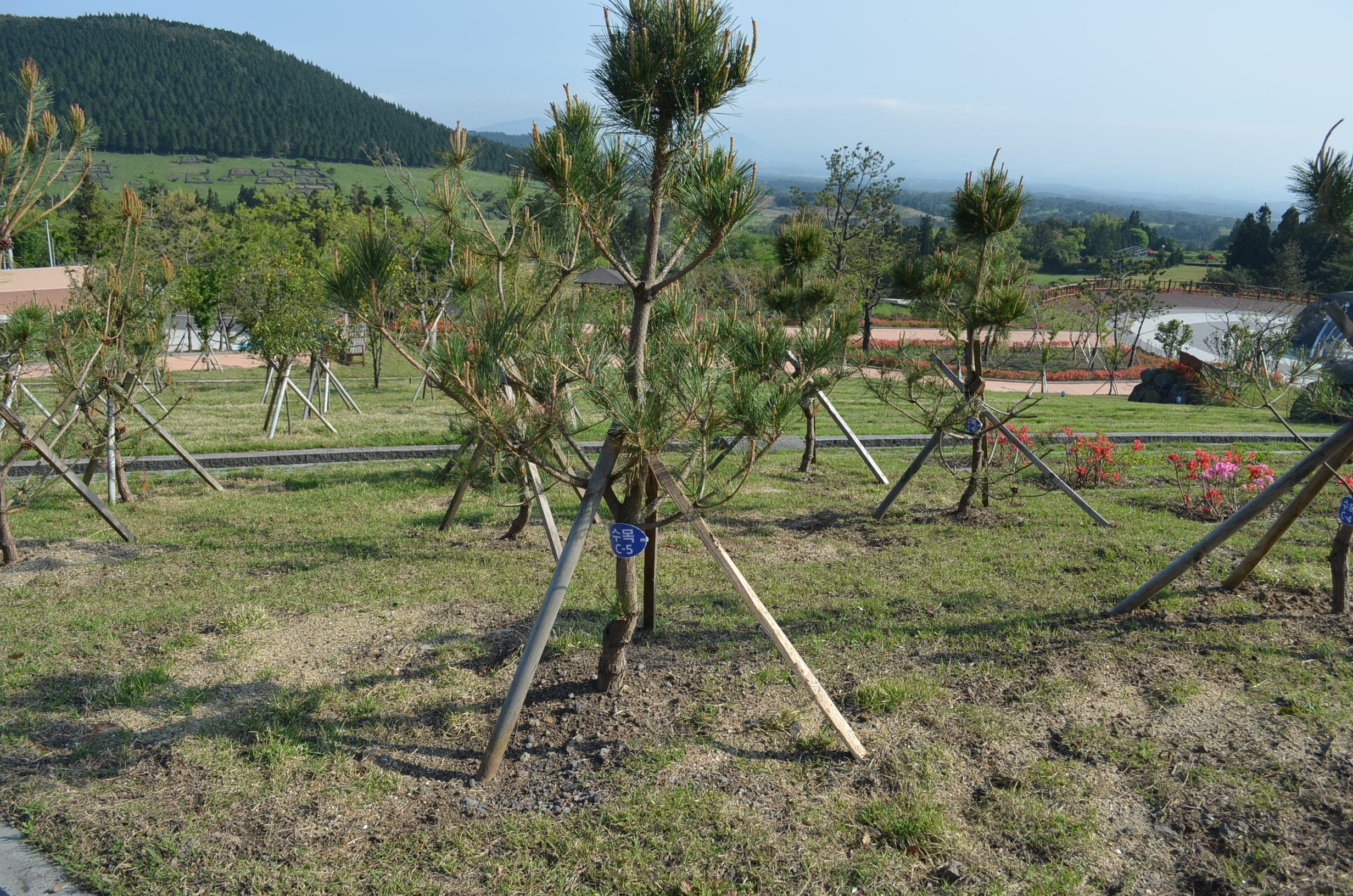 제주시어승생한울누리공원