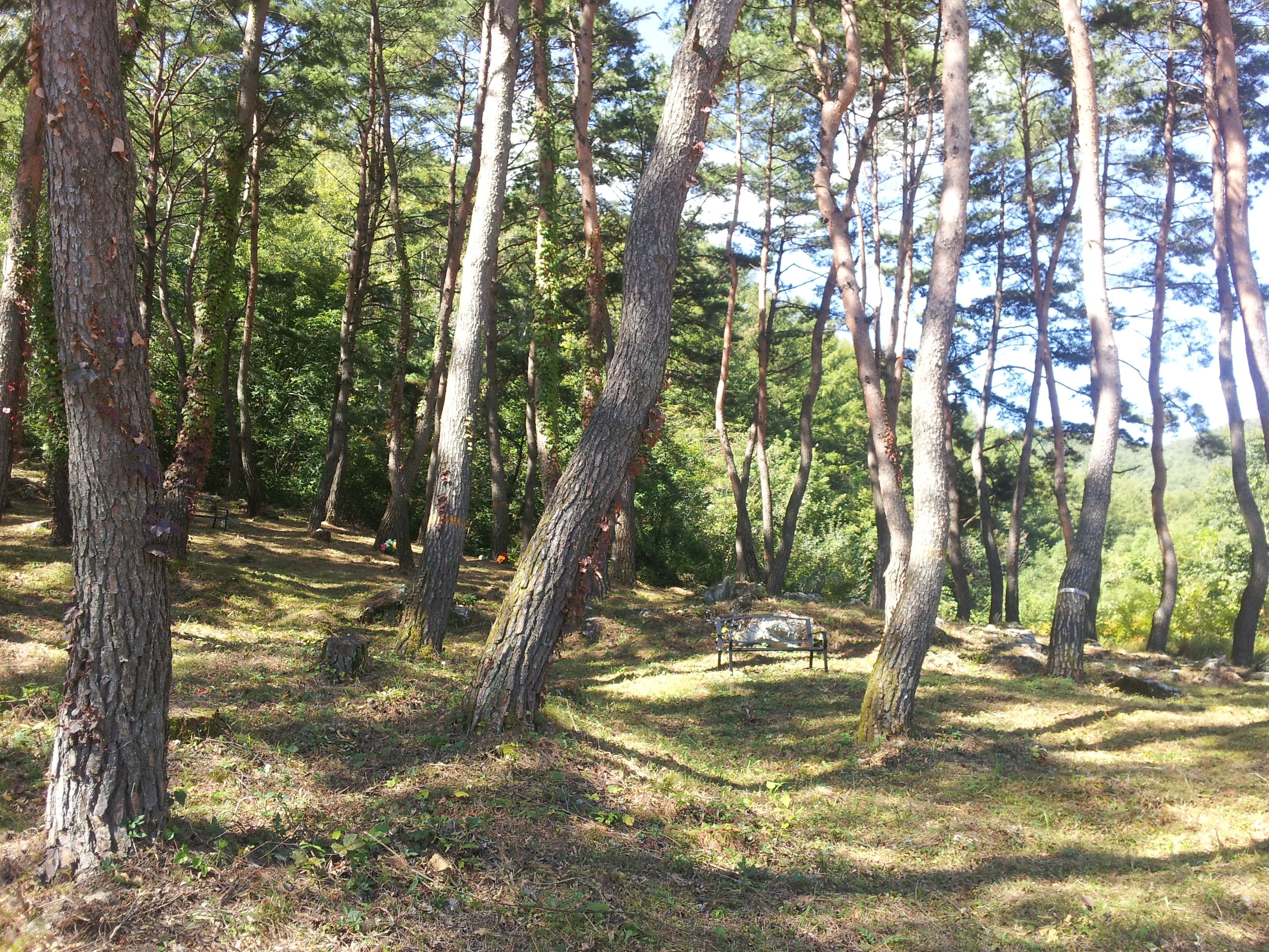 함양하늘공원(자연장지)