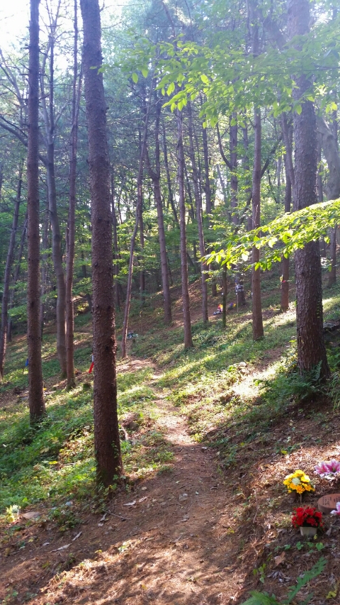 광릉추모공원(자연장지)