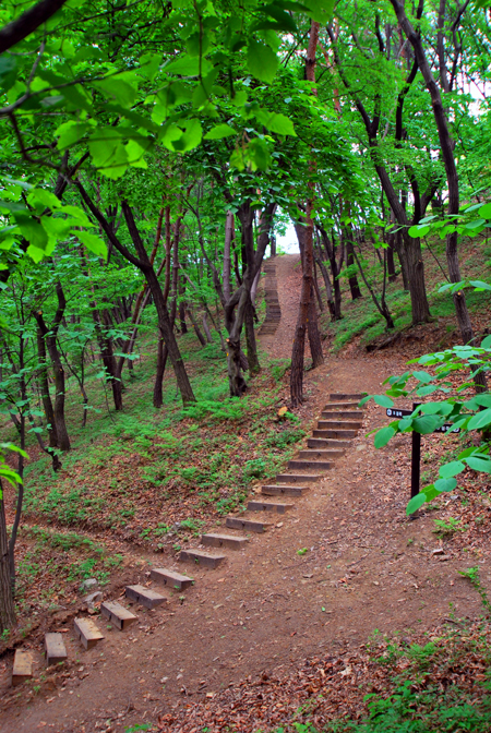 광릉추모공원(자연장지)