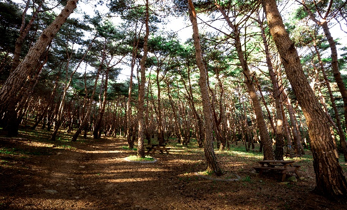 대한불교조계종 남지장사