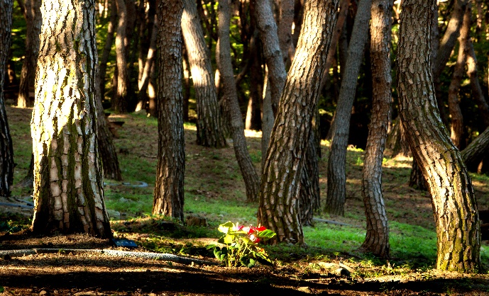 대한불교조계종 남지장사