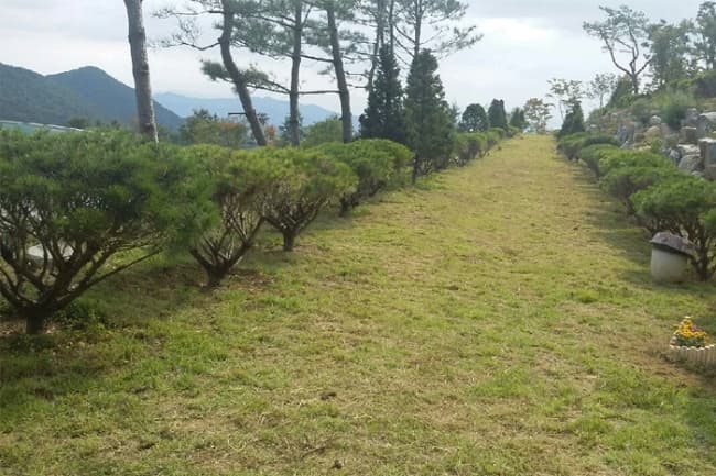 만어추모공원 수목장