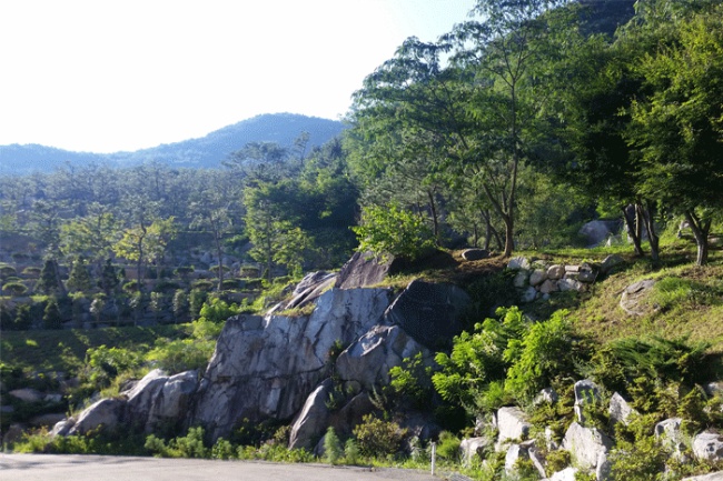 만어추모공원 수목장