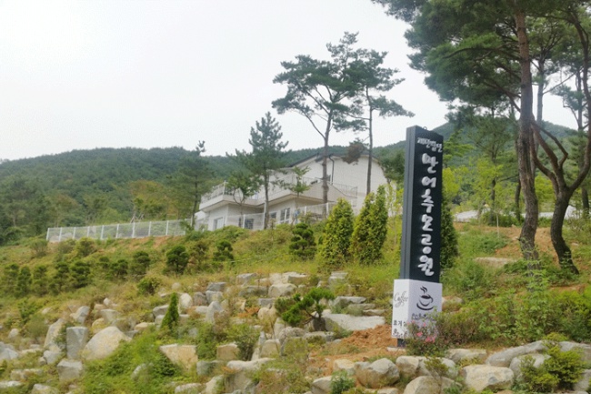 만어추모공원 수목장