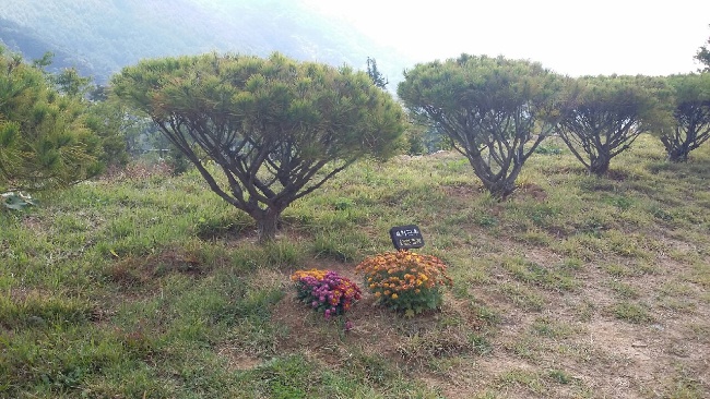 만어추모공원 수목장