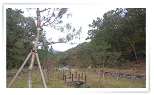 공주나래원자연장