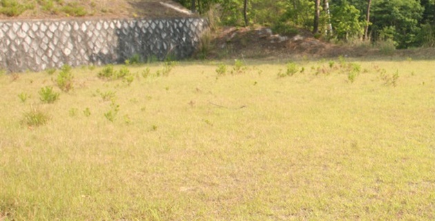 청솔공원 자연장지