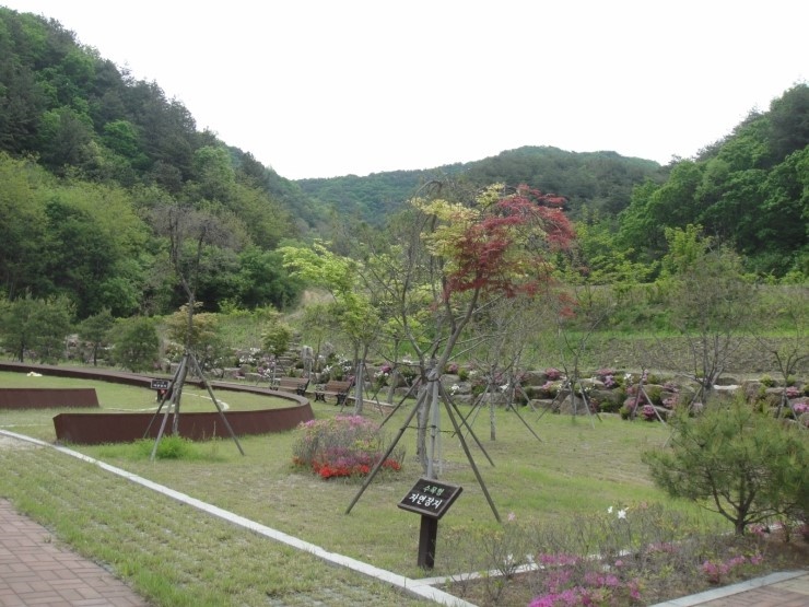 양구군공설자연장지