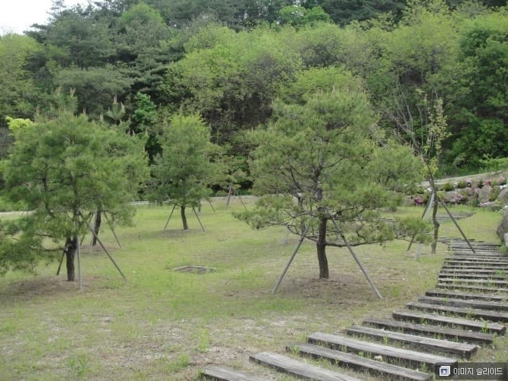 양구군공설자연장지