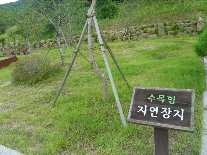 양구군공설자연장지