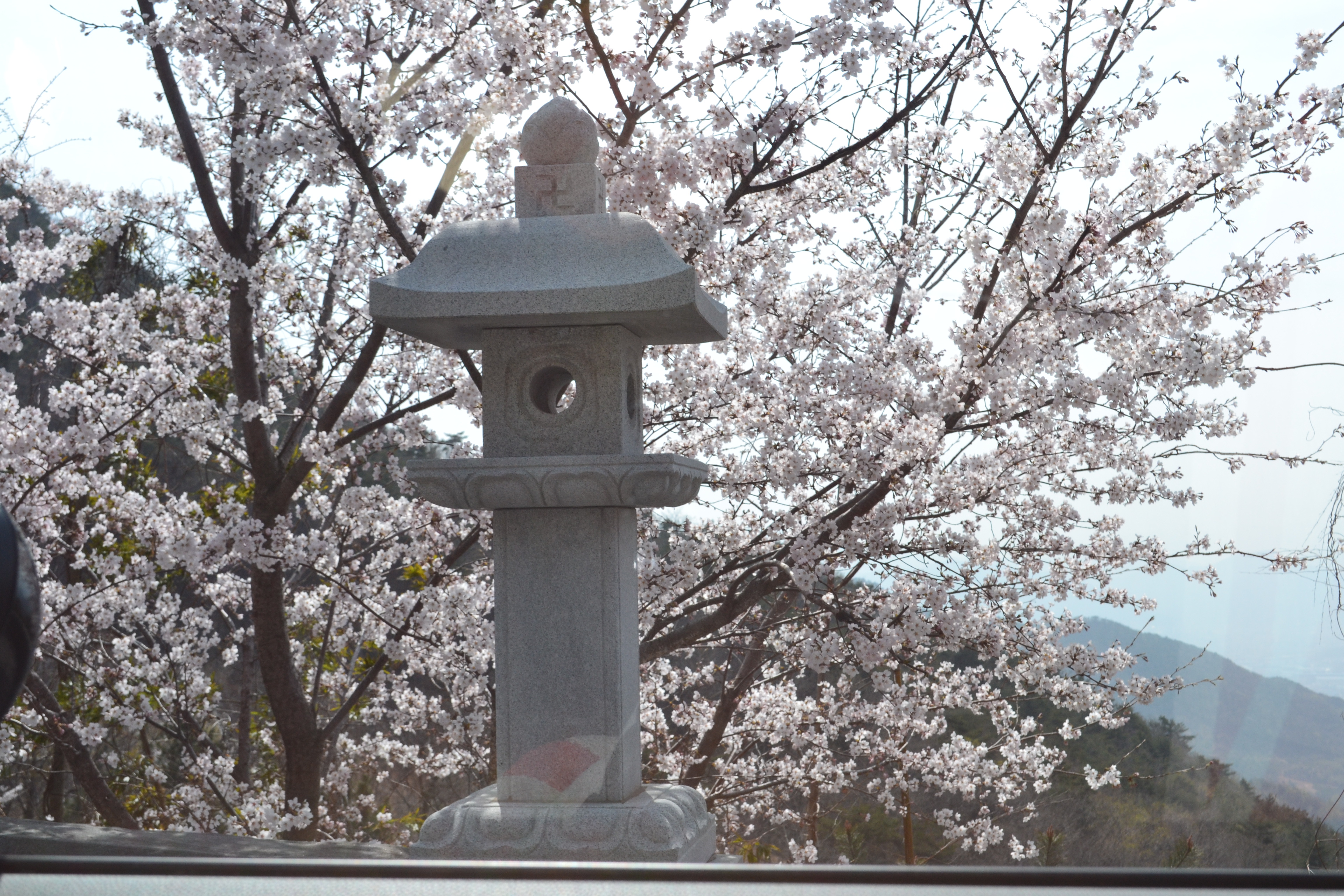 신불산 추모공원 수목장