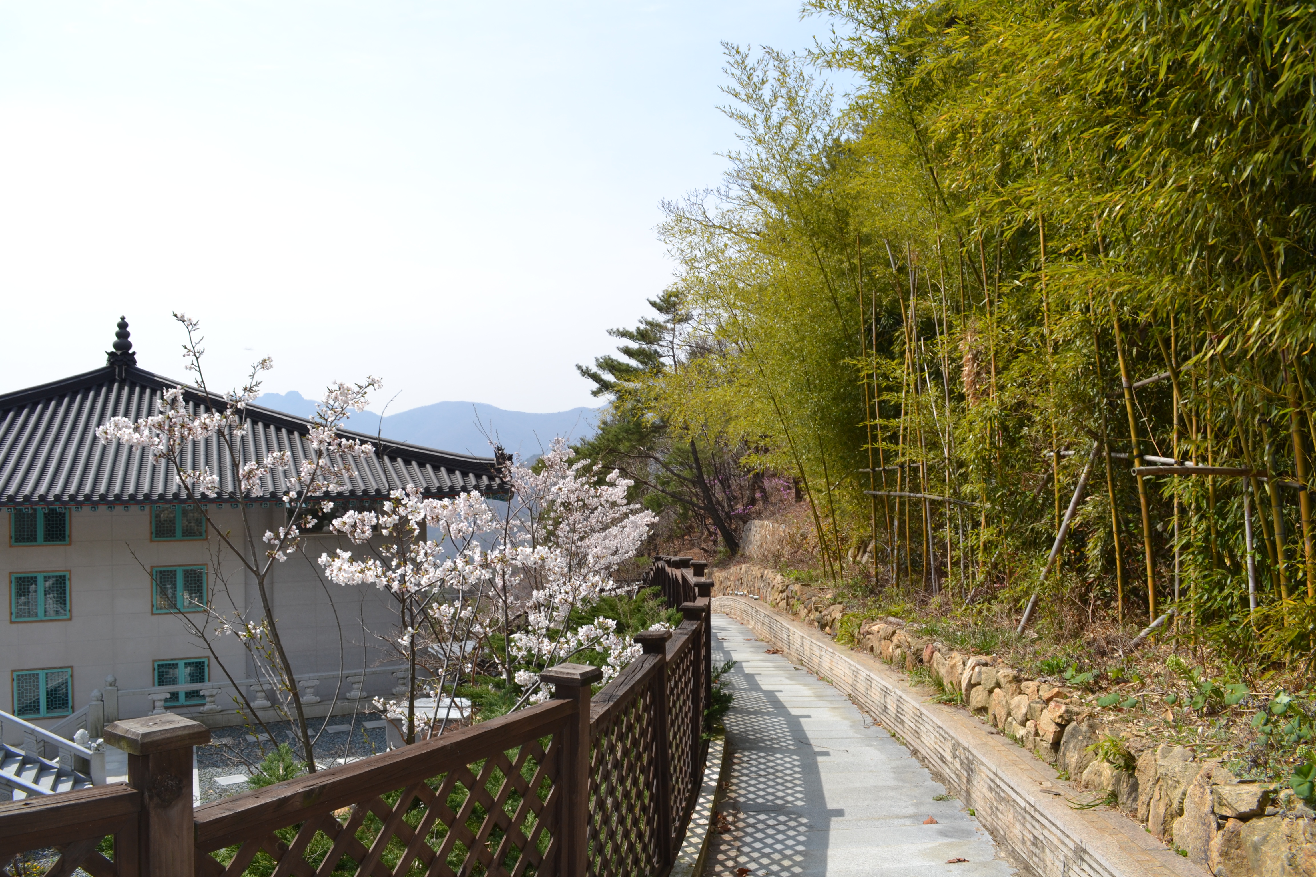 신불산 추모공원 수목장