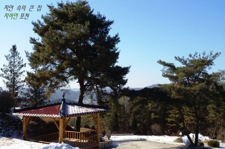 자하연 포천(묘지)