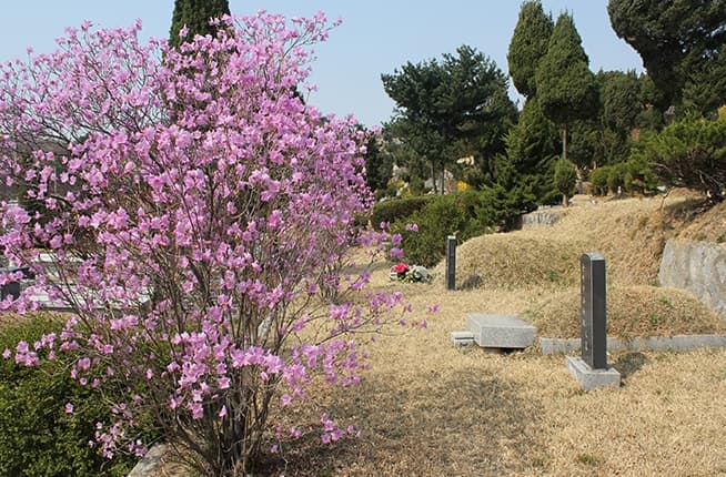 운경공원묘원