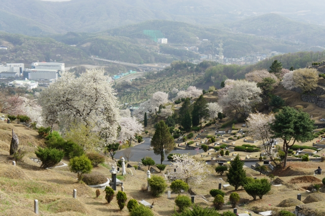 삼성개발공원묘원(묘지)