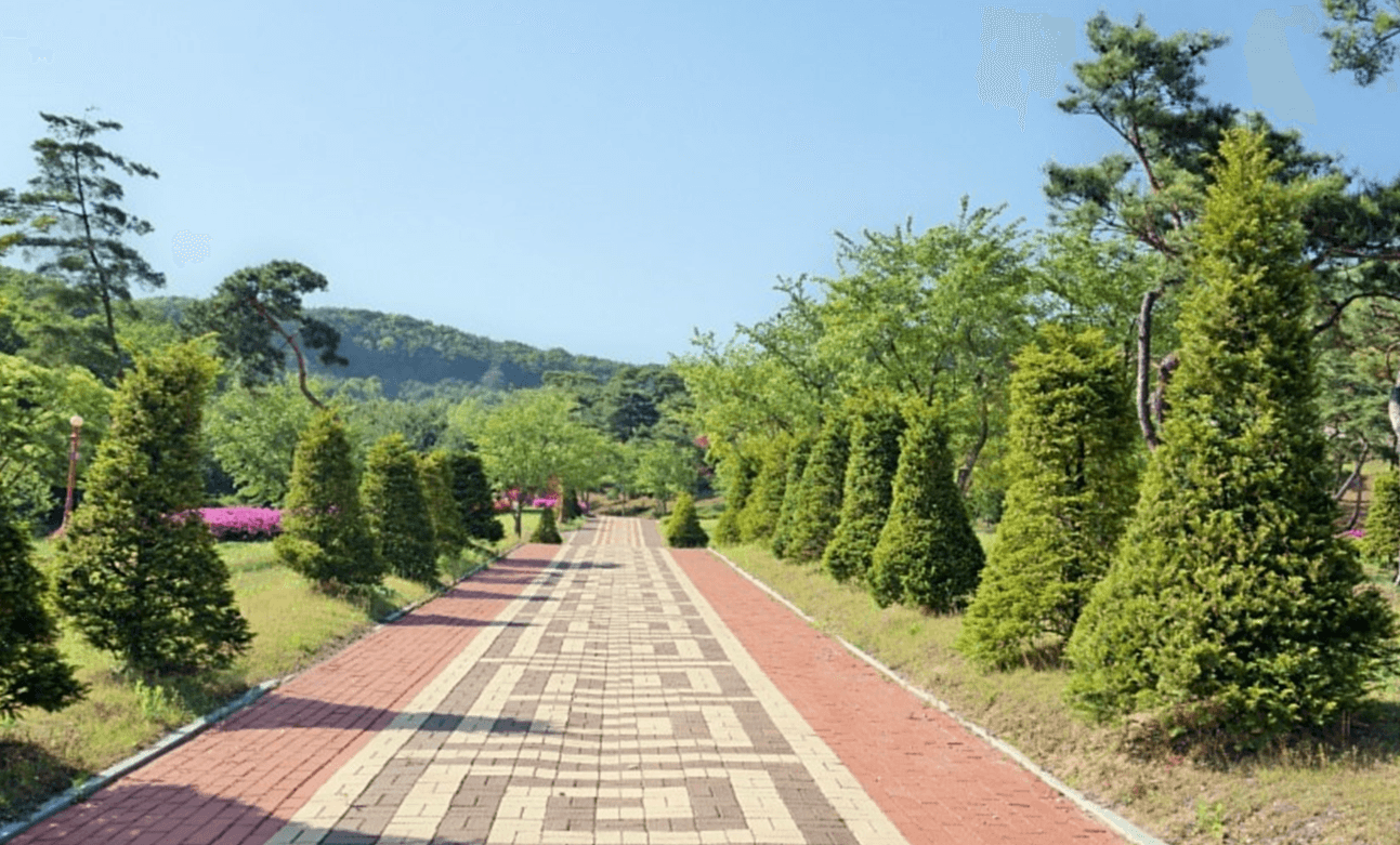 별그리다(별의숲)