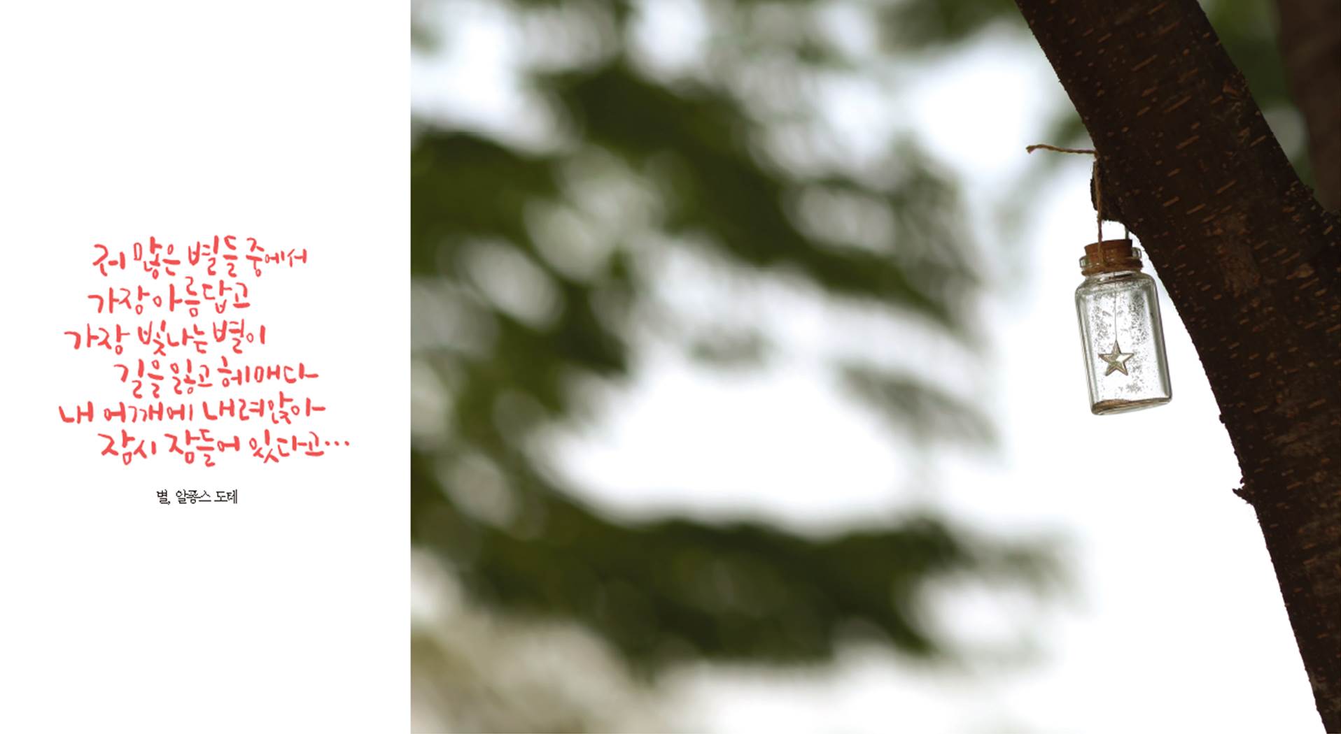 별그리다(THE WALL)