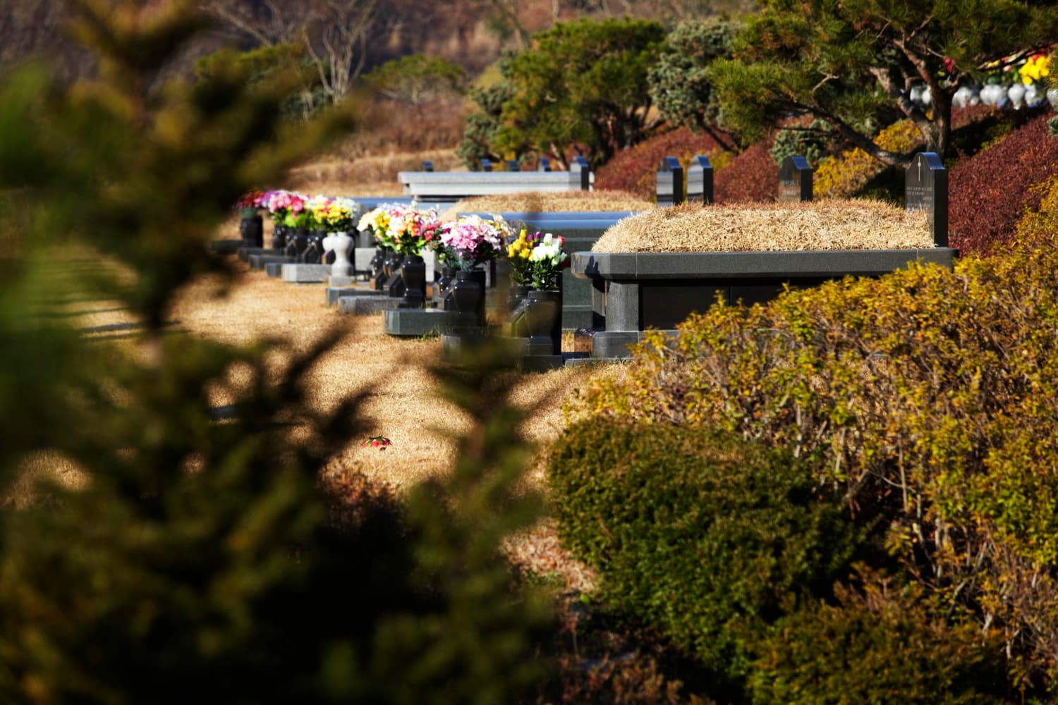 별그리다(THE HILL)