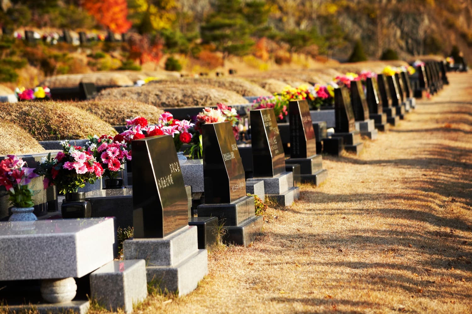 별그리다(THE HILL)