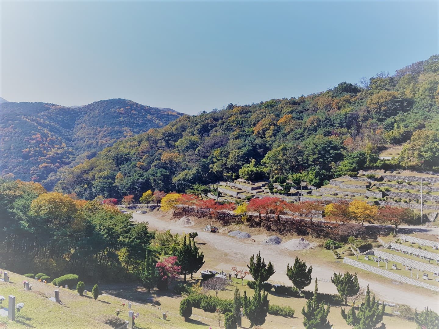 학명묘원