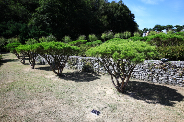 은하수공원 자연장지