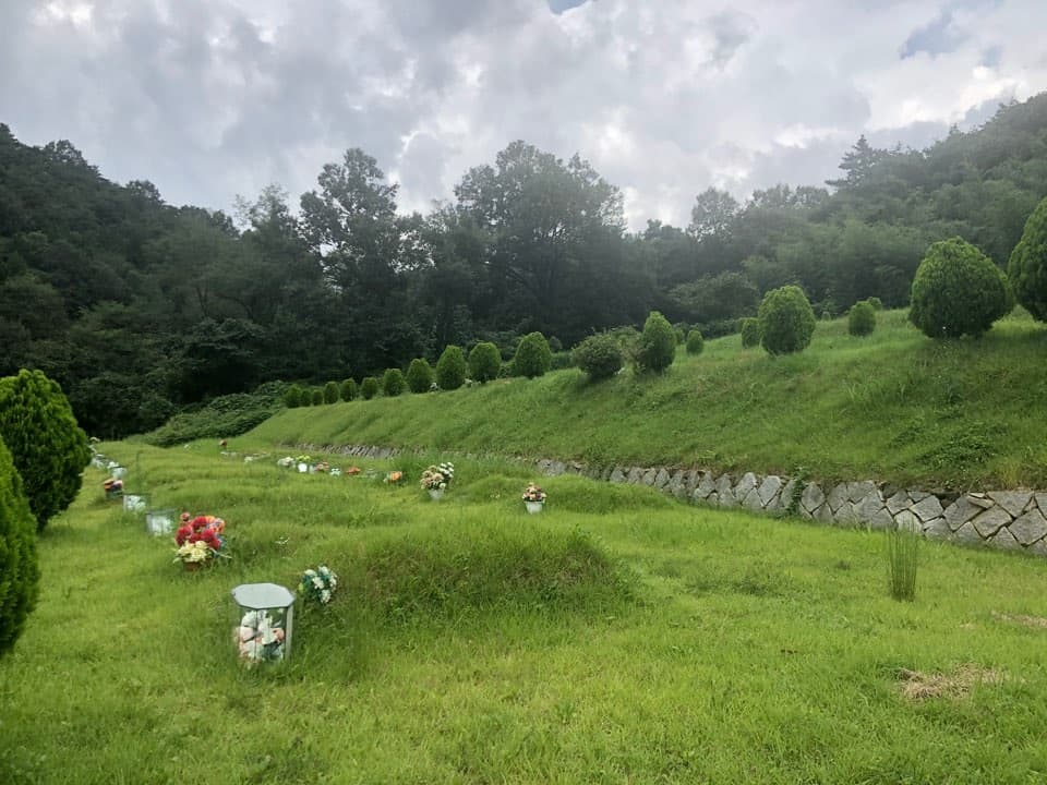 오룡군립묘원(묘지)