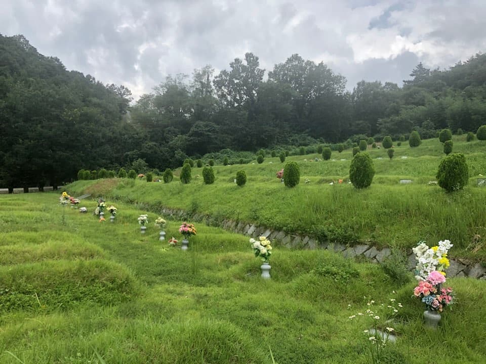 오룡군립묘원(묘지)