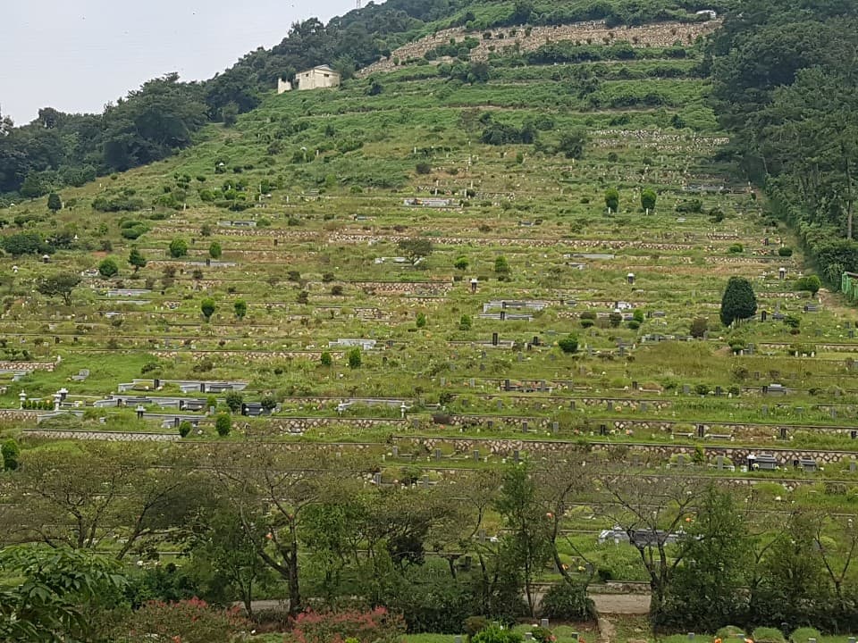 새금산병원장례식장