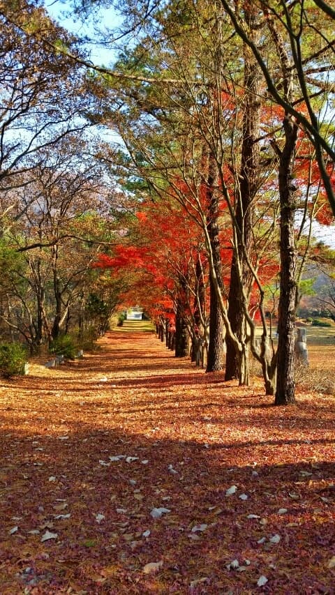 광릉추모공원(묘지)