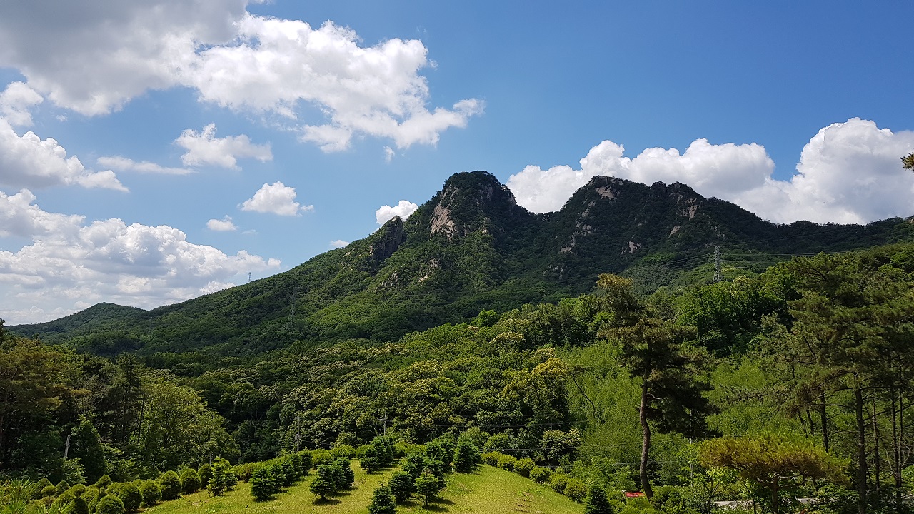 하늘소풍수목장(호산나교회)