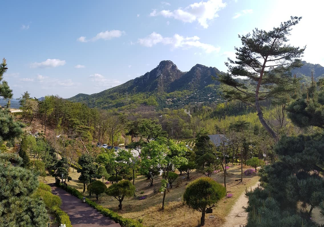 하늘소풍수목장(호산나교회)