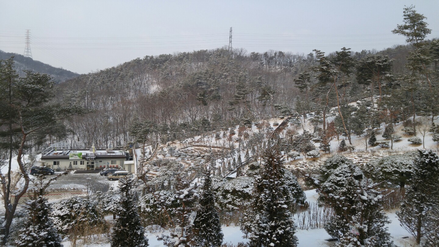 하늘소풍수목장(호산나교회)