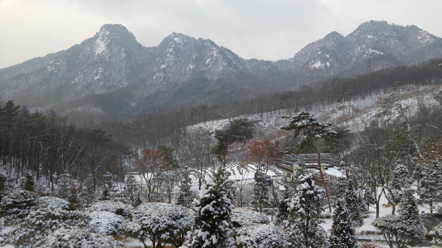 하늘소풍수목장(호산나교회)