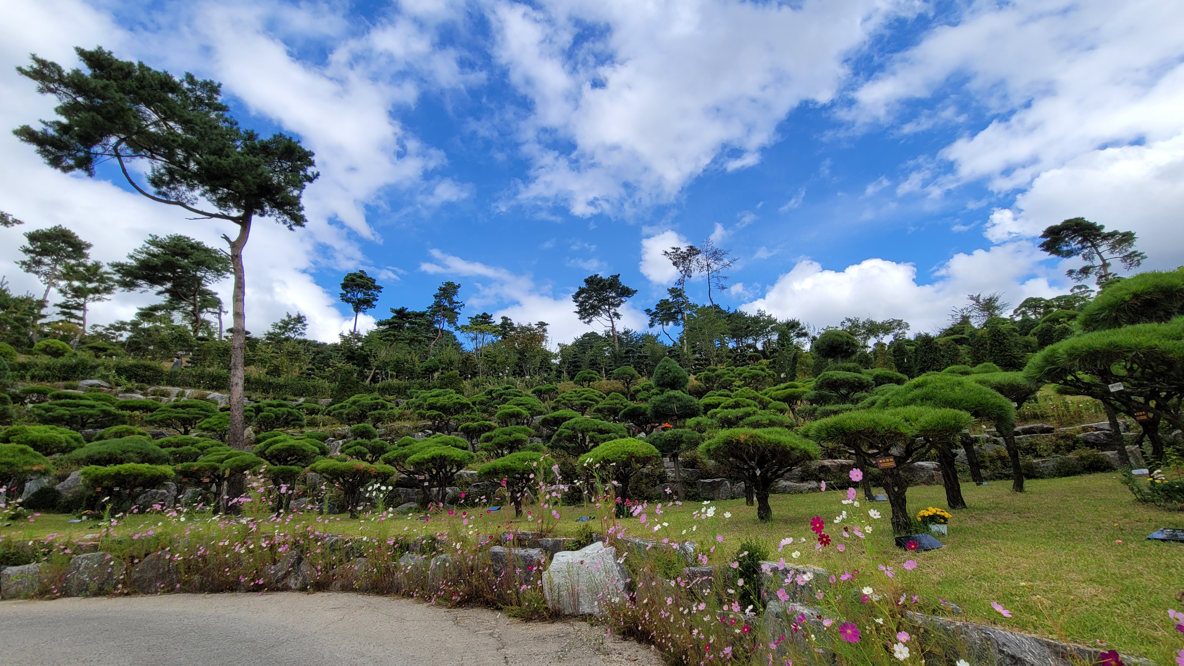 하늘소풍수목장(호산나교회)