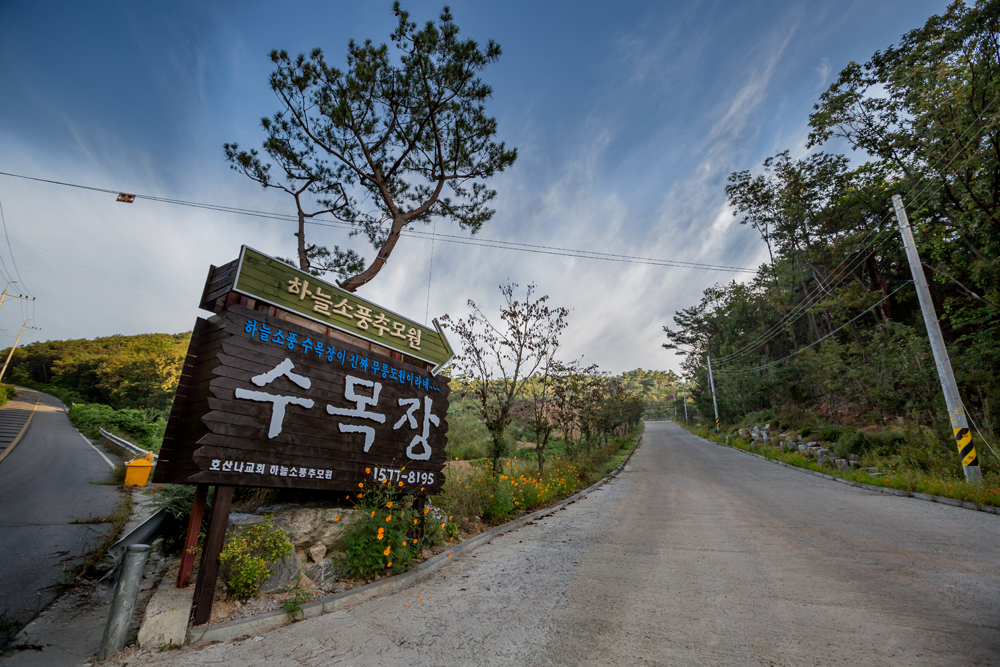 하늘소풍수목장(호산나교회)