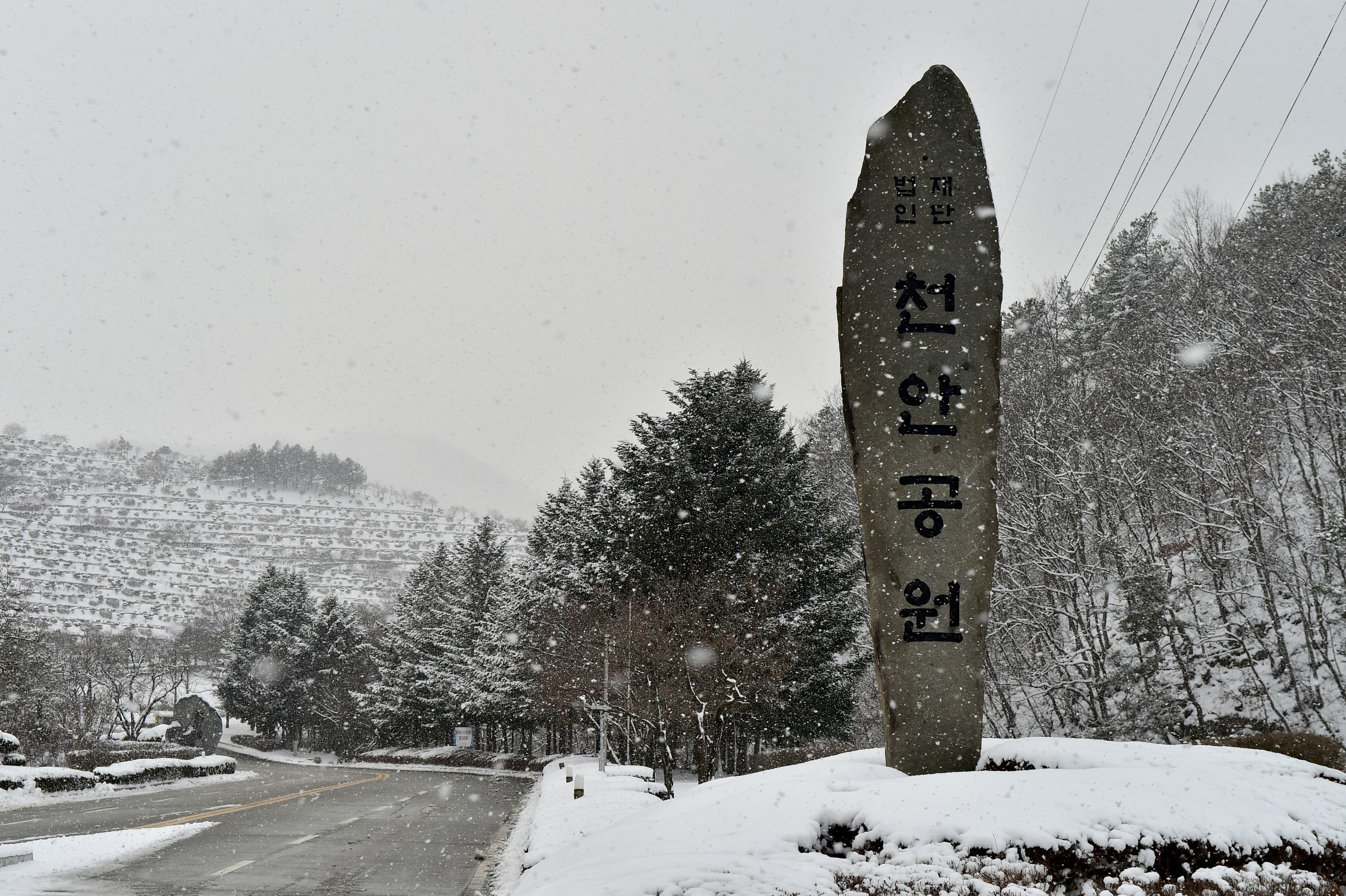 천안공원묘원(봉안시설)