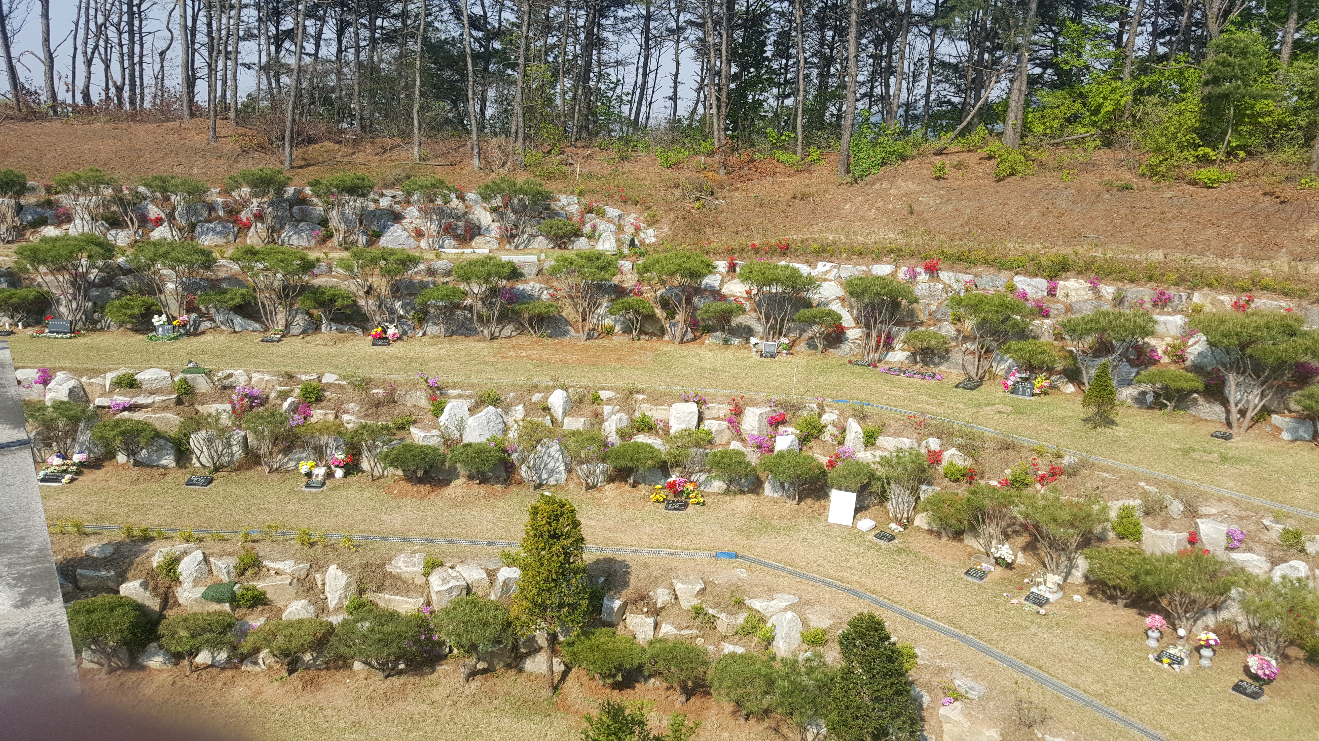 세종추모공원 수목(자연)장