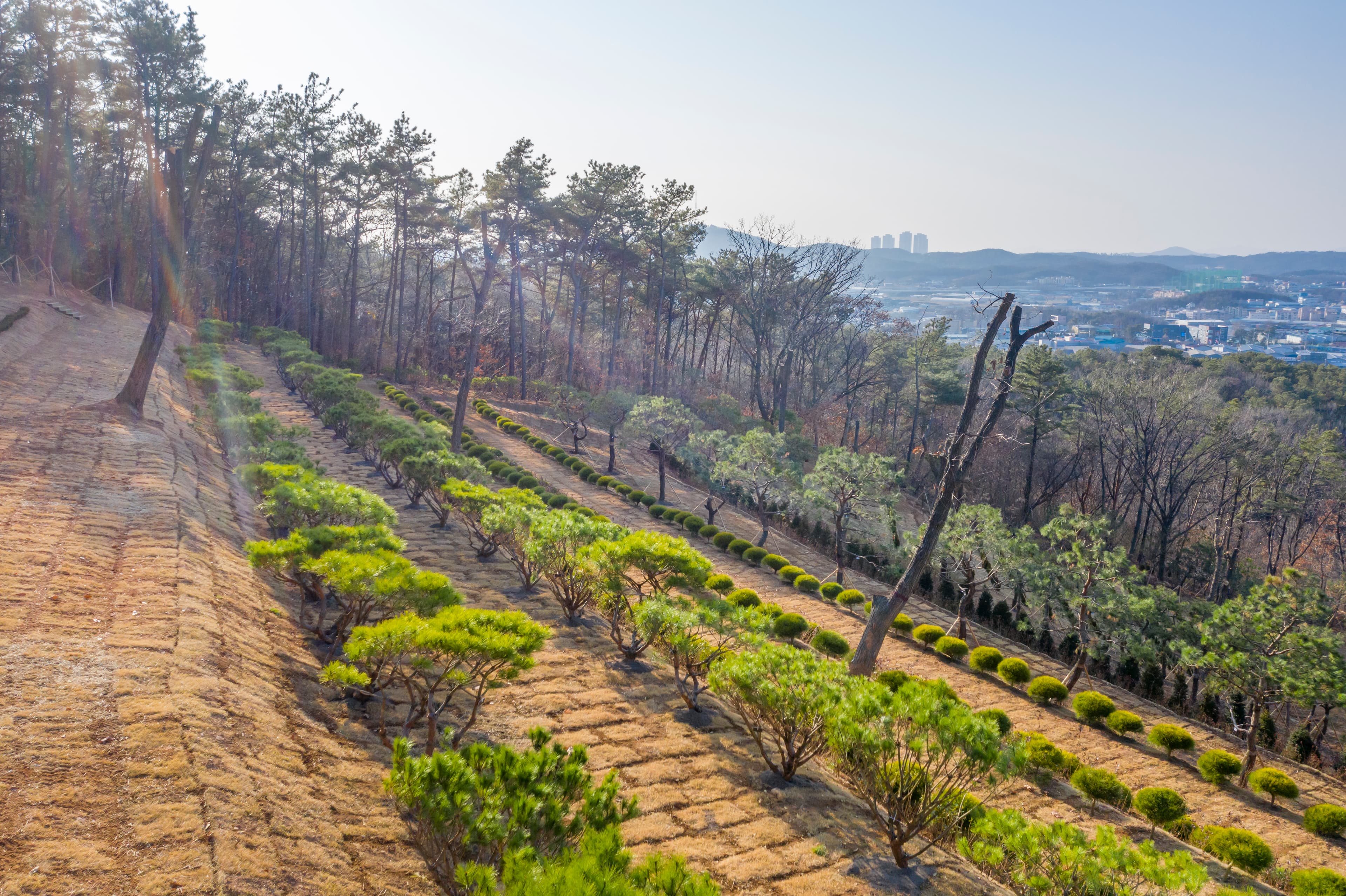 일산공감수목장(봉화사)