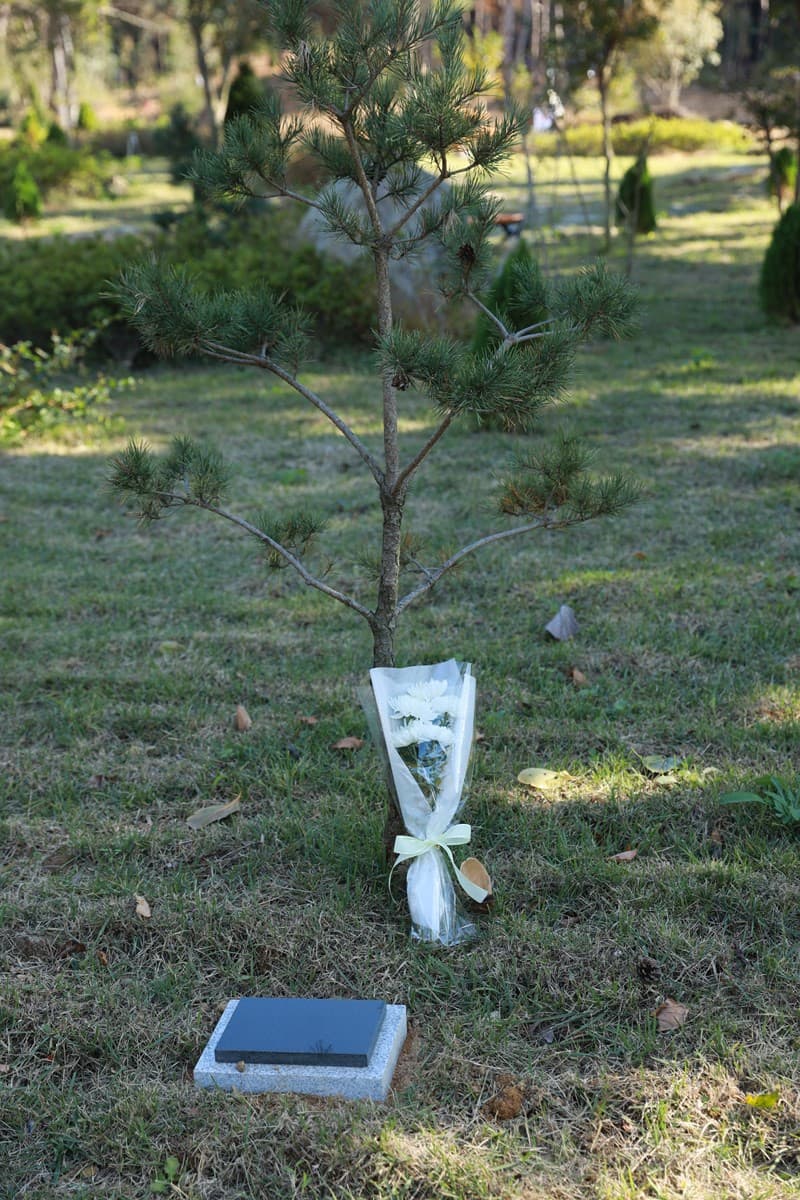 신광사수목장