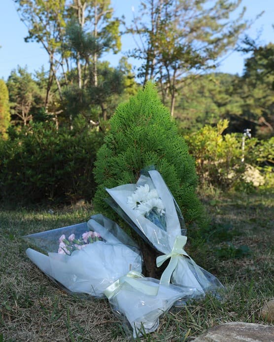 신광사수목장
