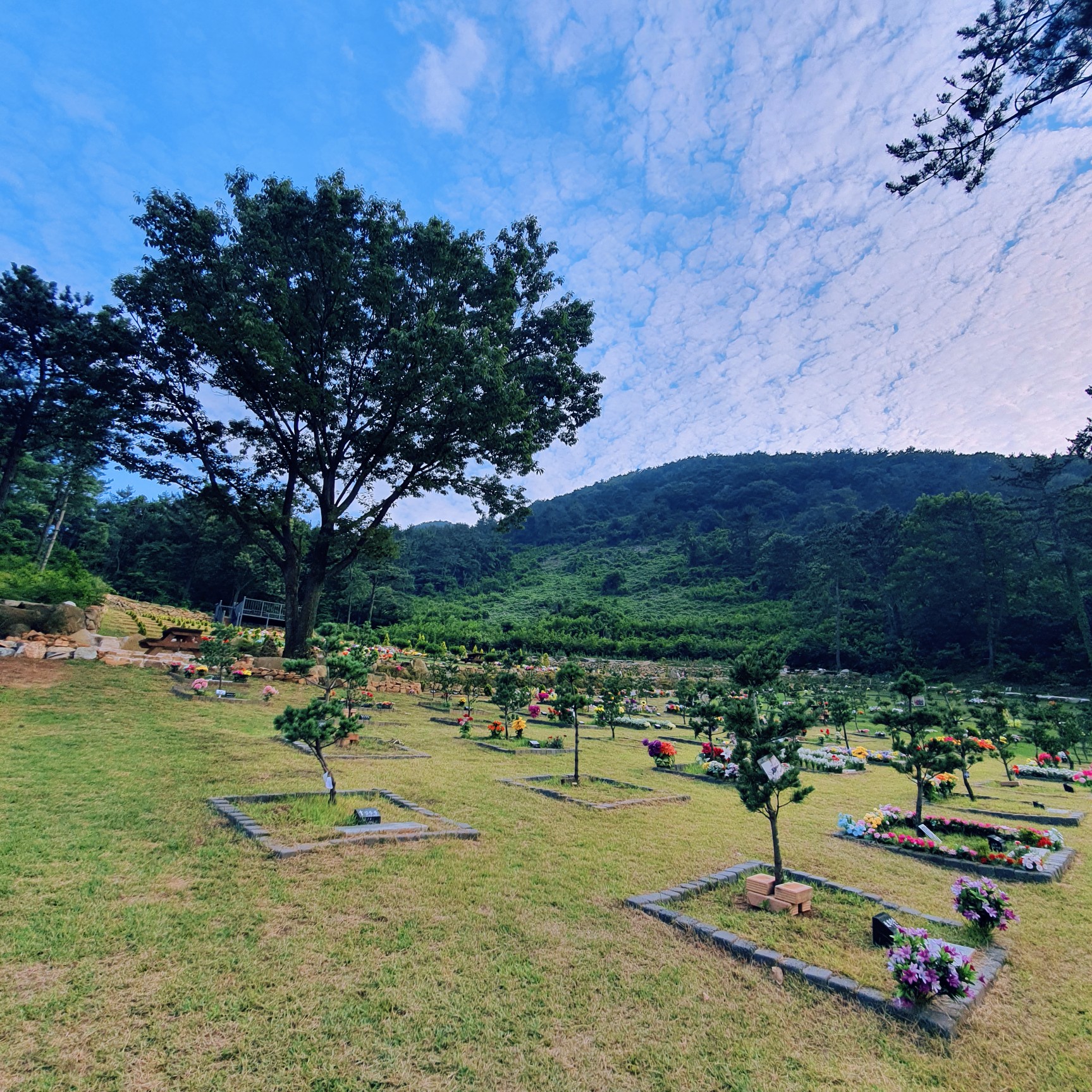 늘푸른수목장 (청광사)