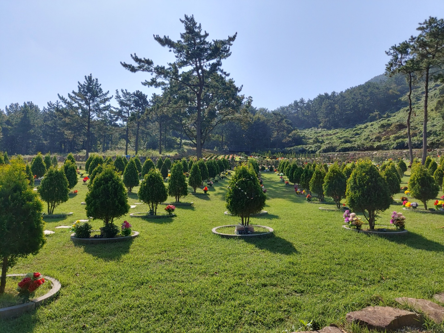 늘푸른수목장 (청광사)