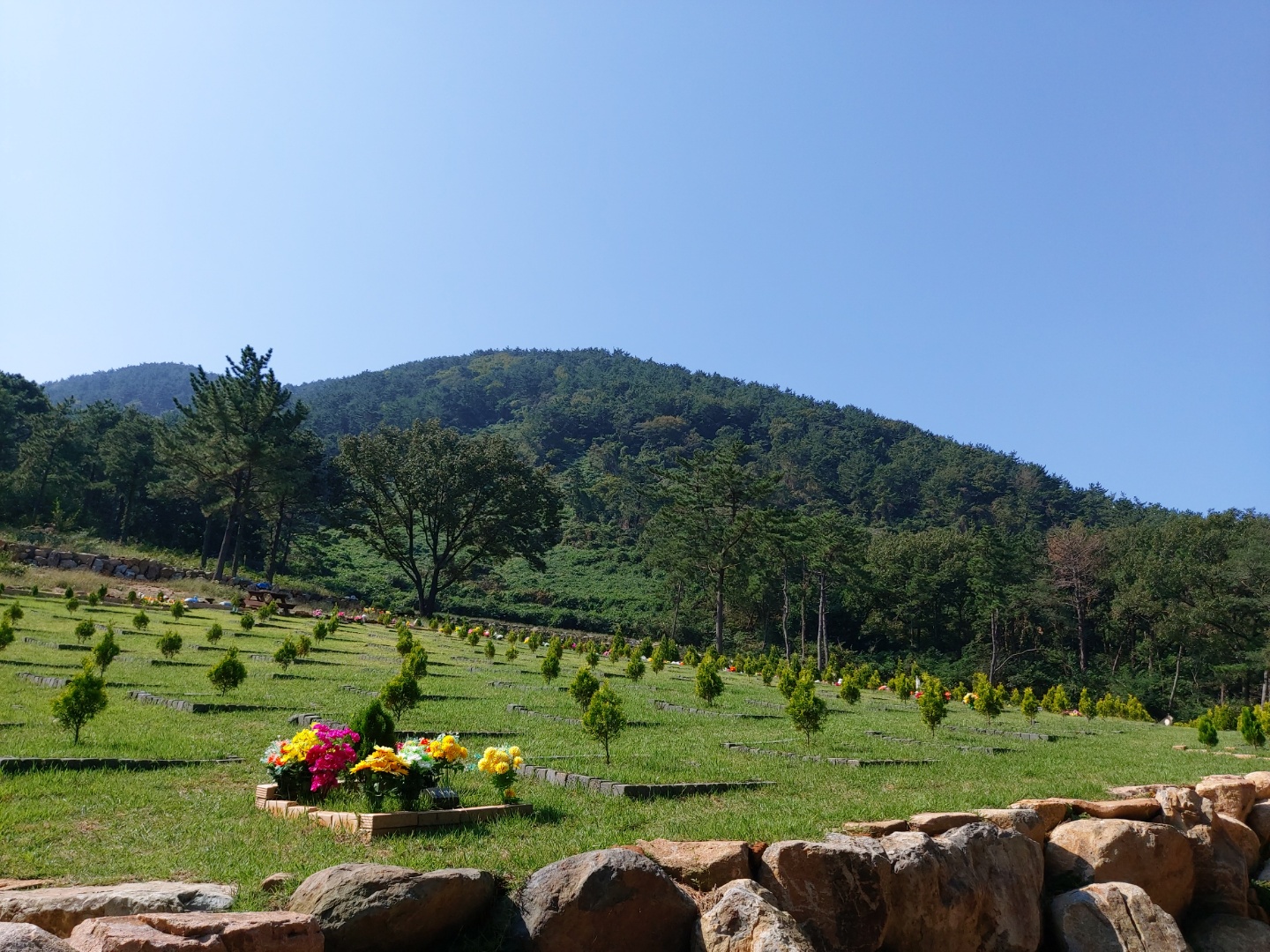 늘푸른수목장 (청광사)