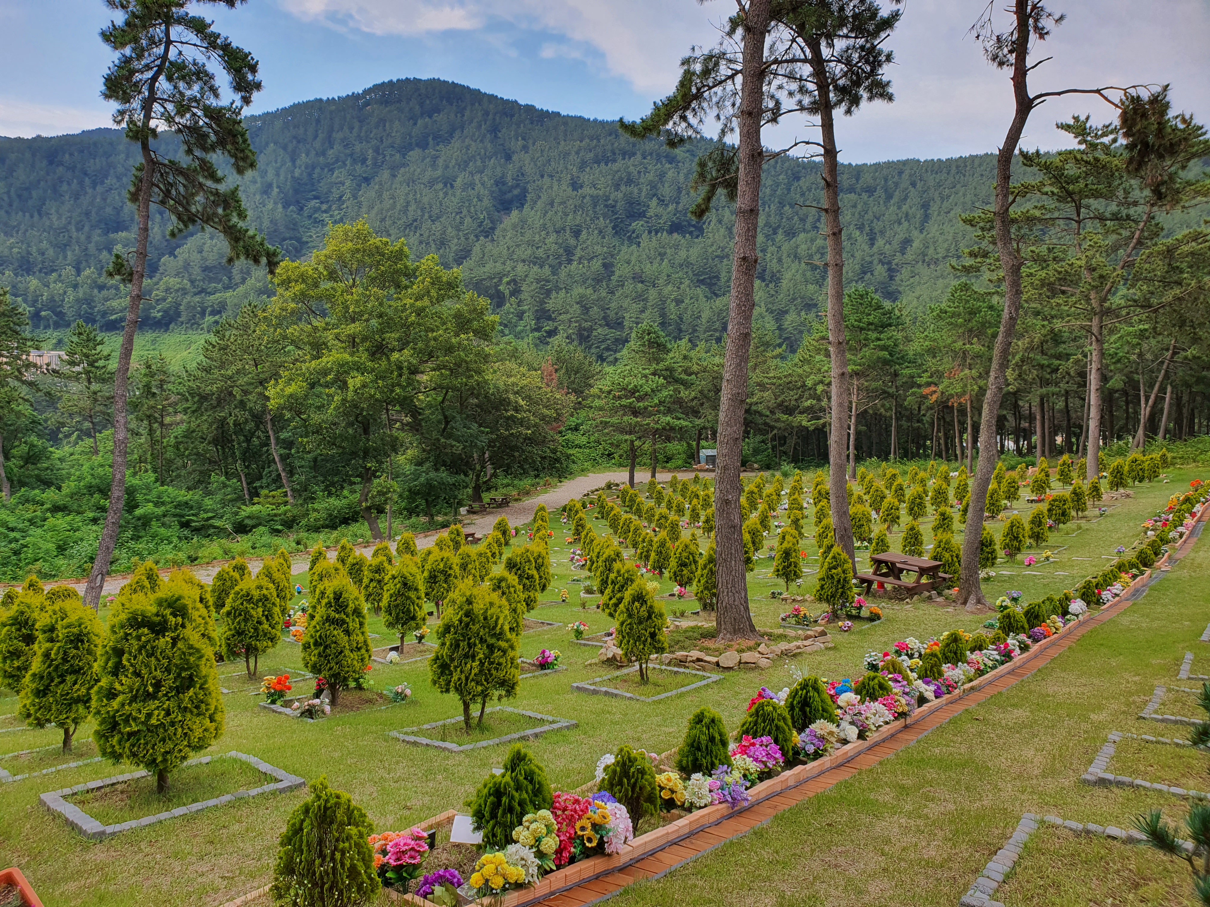 늘푸른수목장 (청광사)
