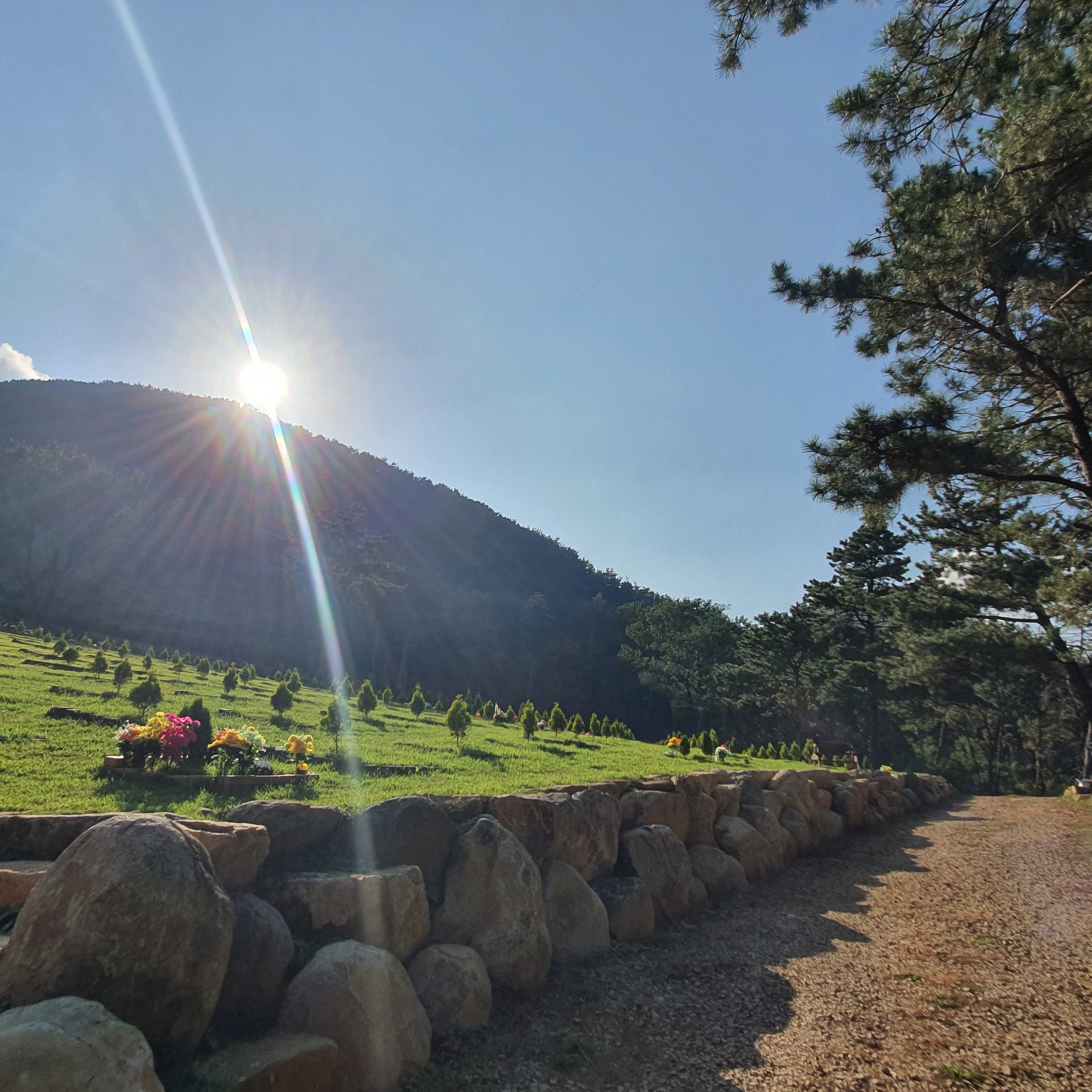 늘푸른수목장 (청광사)