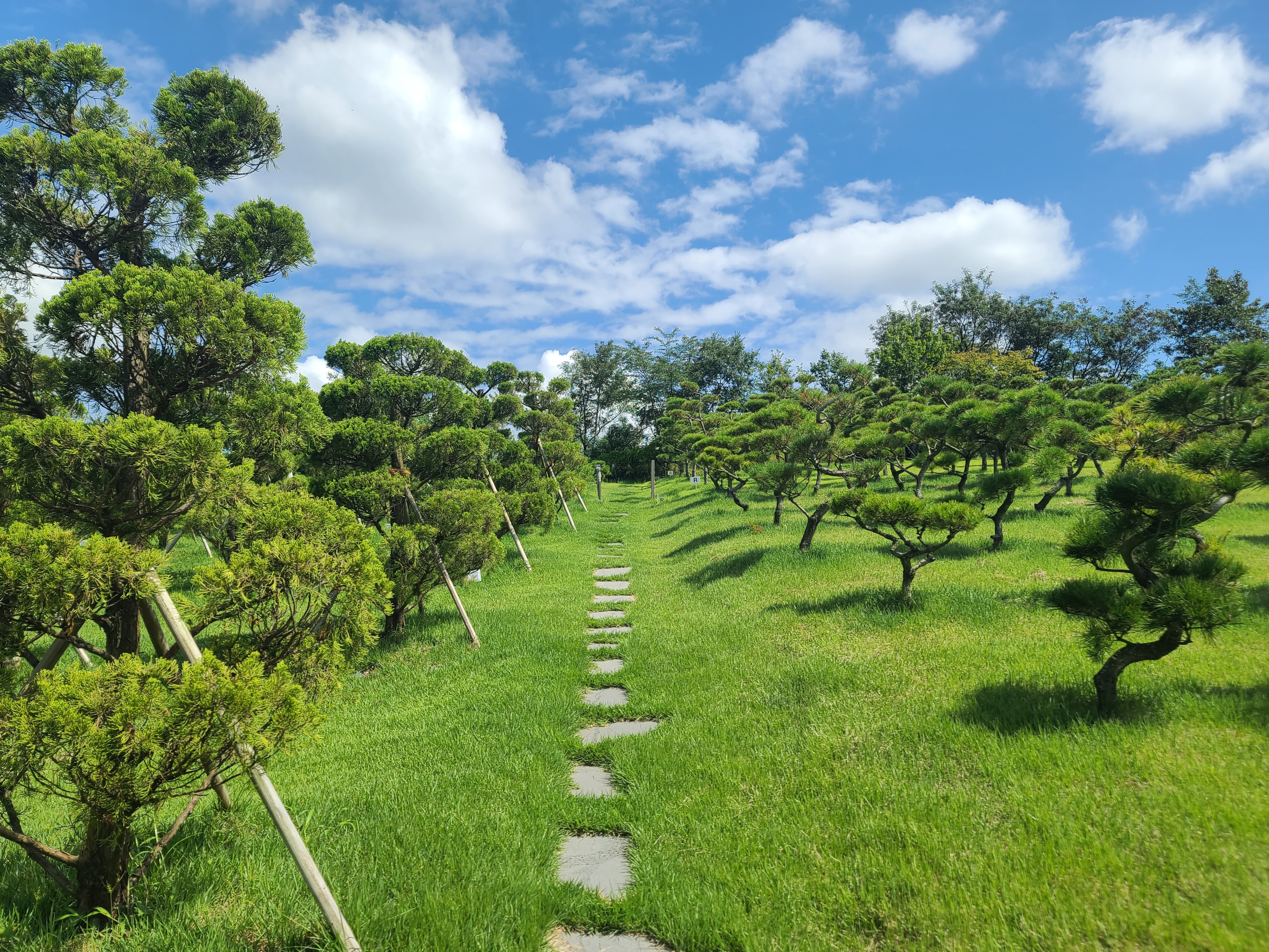 에덴의정원 수목장