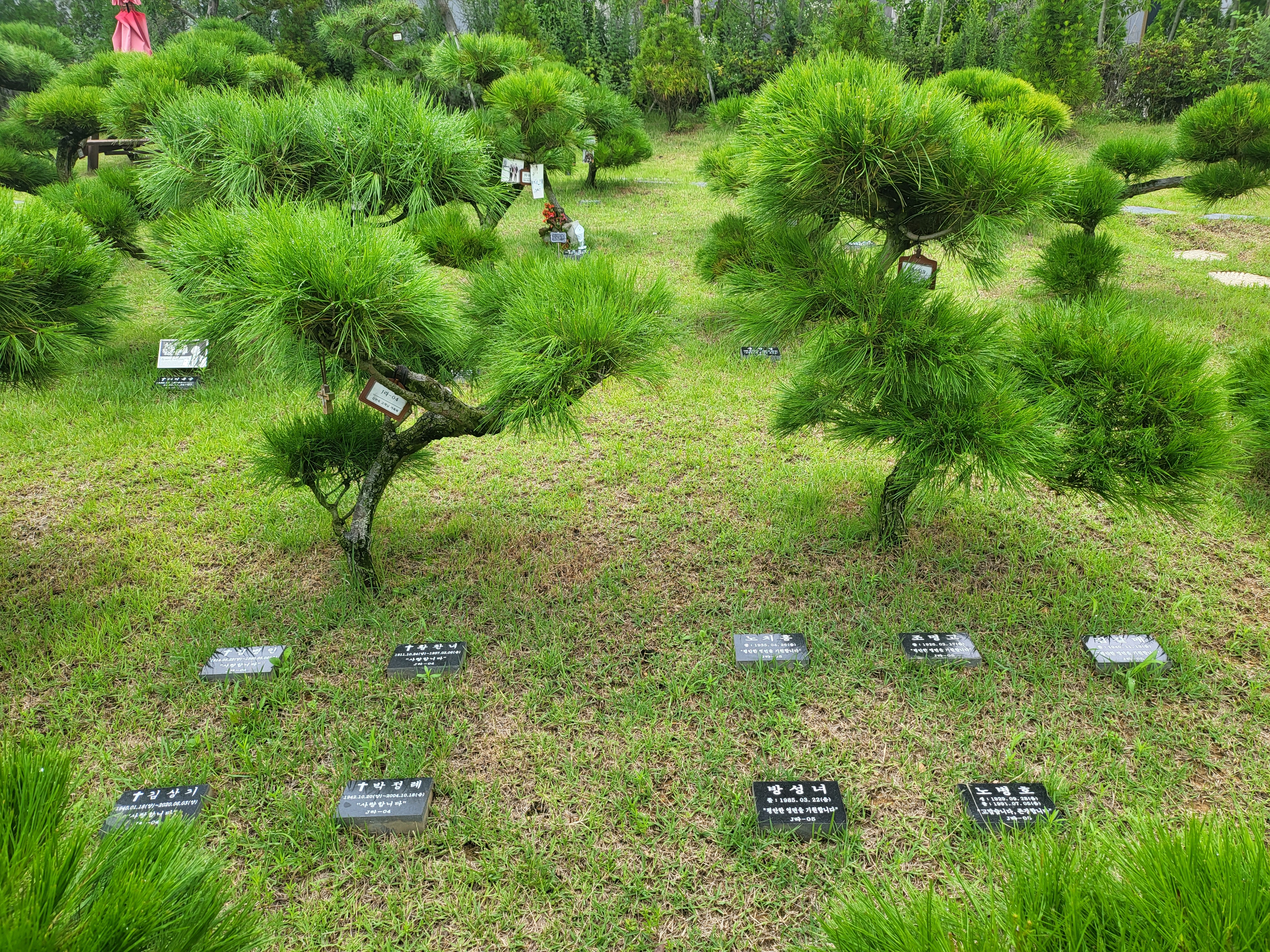 에덴의정원 수목장